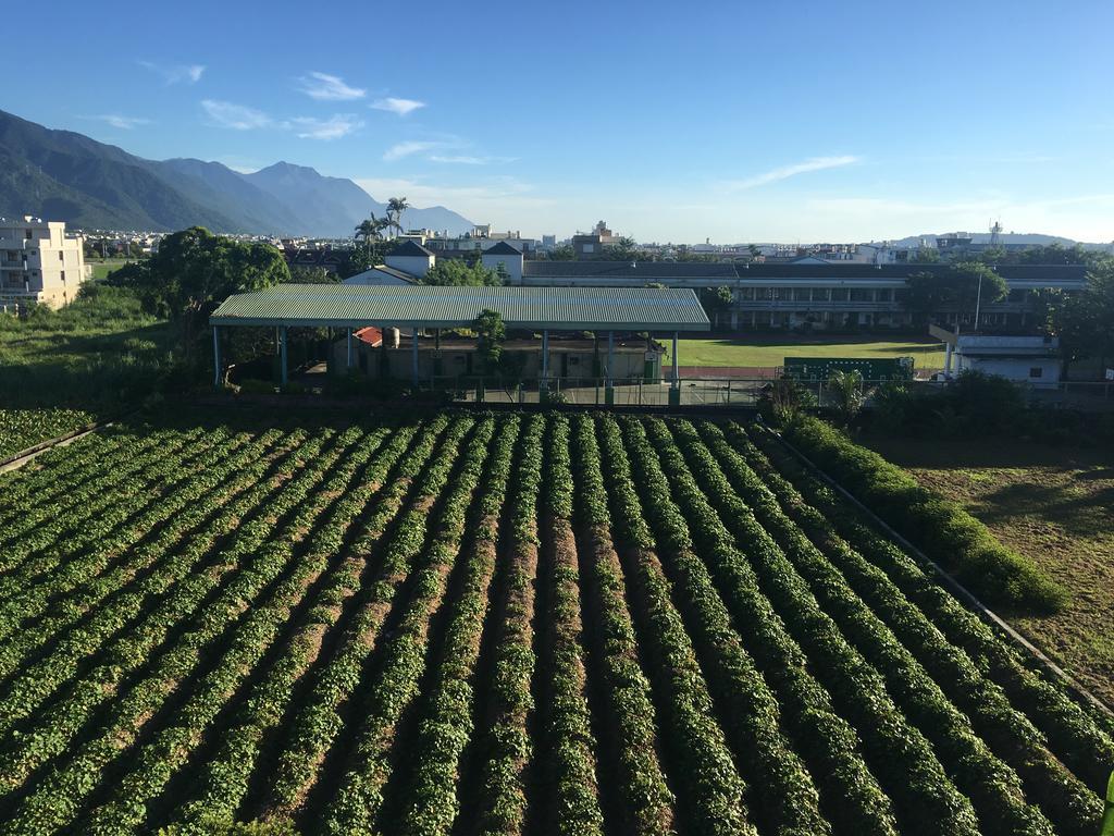 Bo Jue Farm Stay Цзянь Экстерьер фото